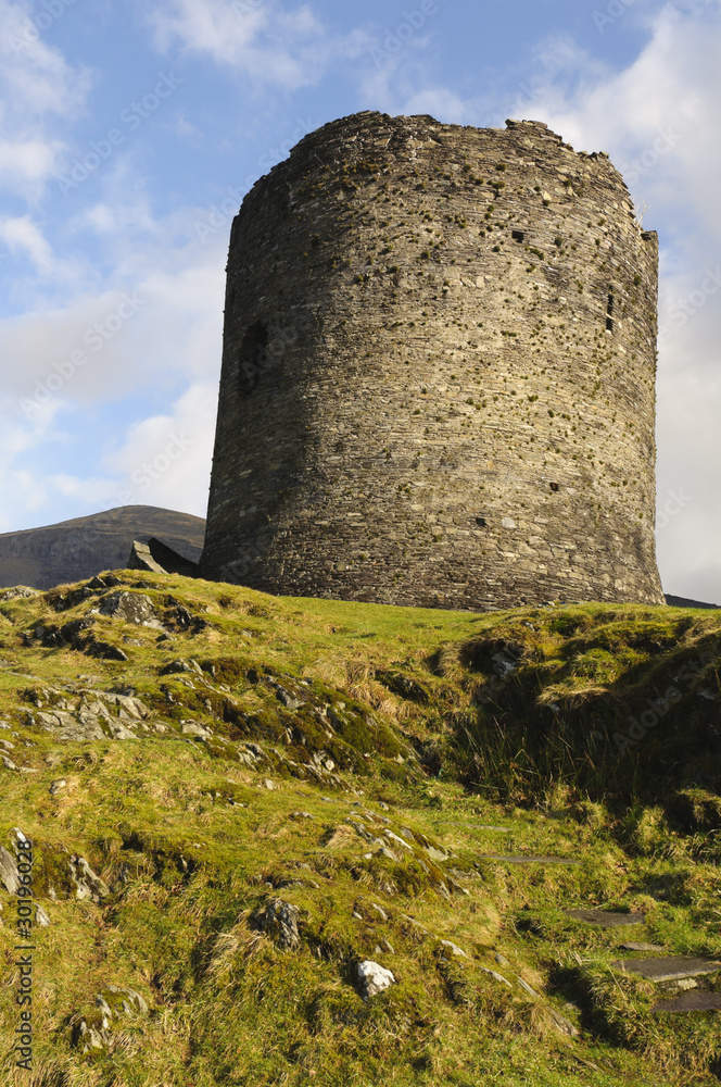 Fototapeta premium Dolbadarn Castle