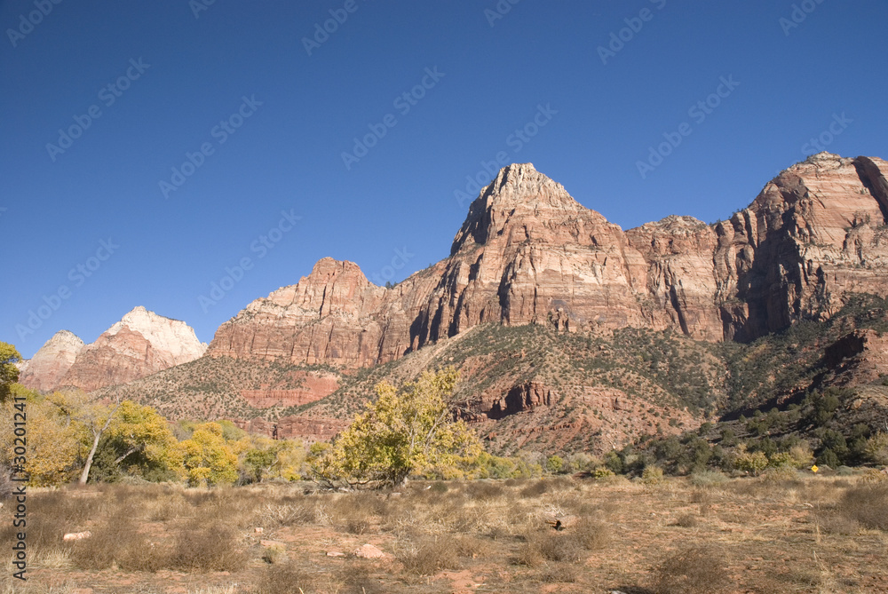 Fototapeta premium Zion National Park, Utah