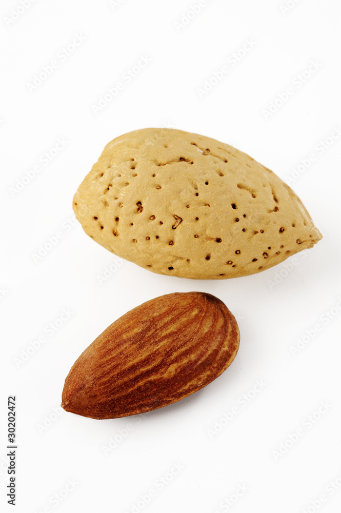 almond and shell almond and shell