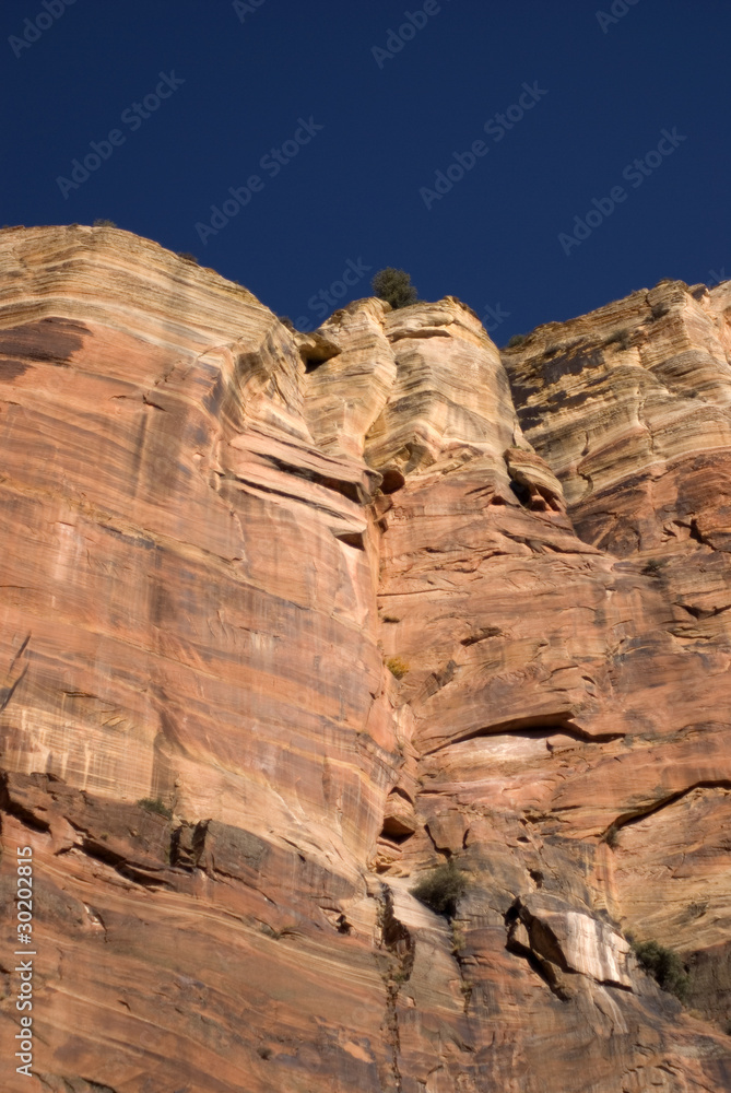 Fototapeta premium Zion National Park, Utah