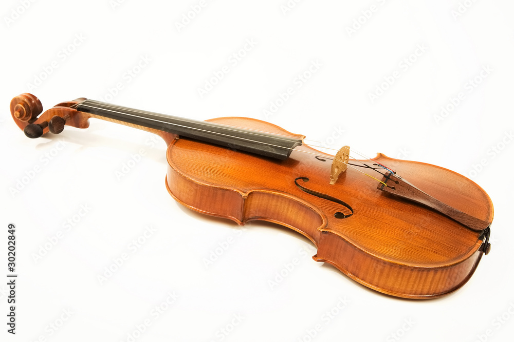 Fototapeta premium Old violin over white