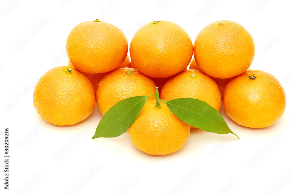 tangerine tangerine