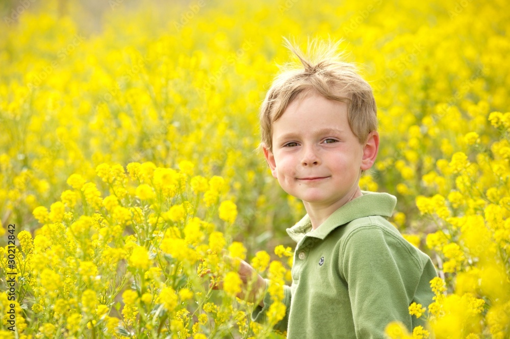 Young Boy in a Field of Yellow Flowers Young Boy in a Field of Yellow Flowers