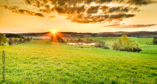 beautiful meadow during sunset