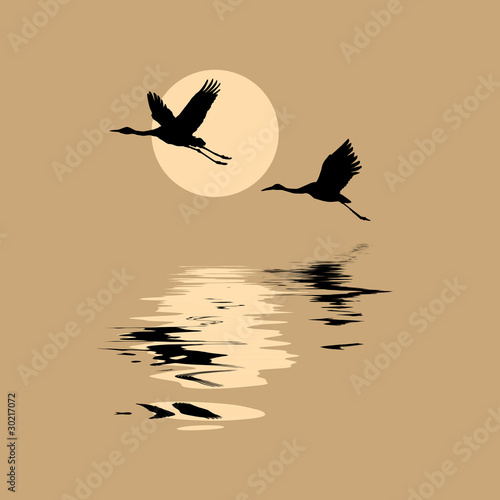 Naklejka silhouettes flying cranes on background sun