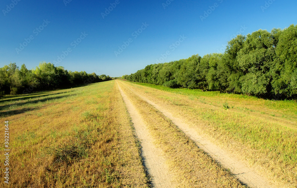 Dirt road in countryside