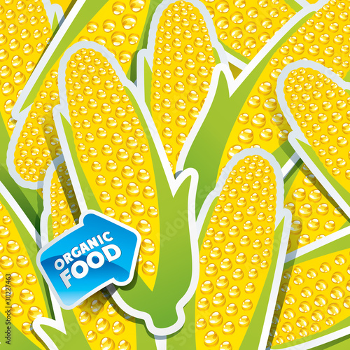 Background from corn cobs with an arrow by organic food.