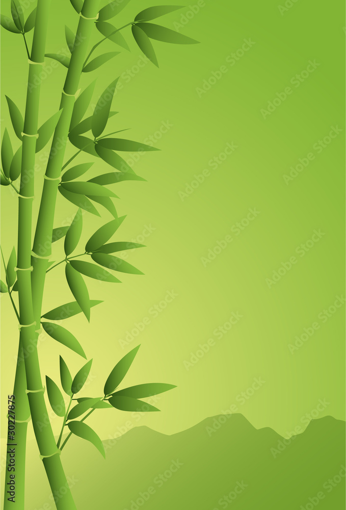 Naklejka premium bamboo background