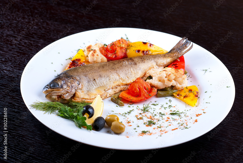 trout fish trout fish