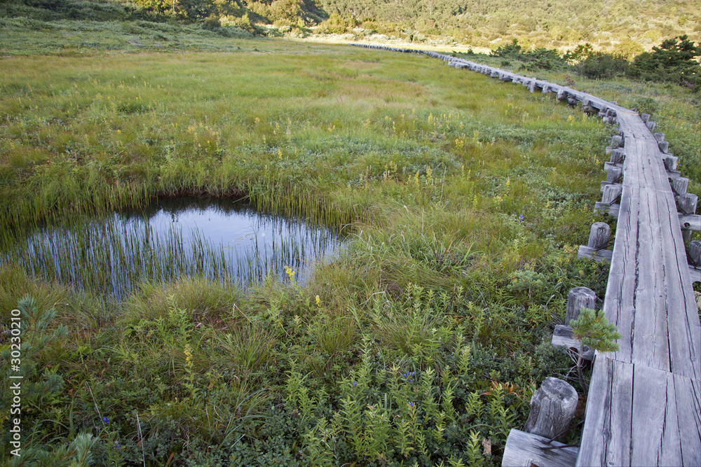 Fototapeta premium #1