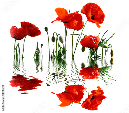 Fototapeta Naklejka Na Ścianę i Meble -  reflet