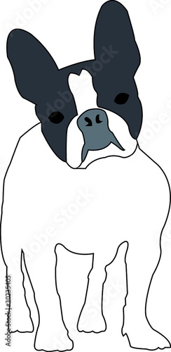 Chien