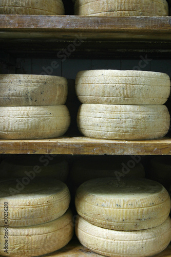 formaggio pecorino stagionato