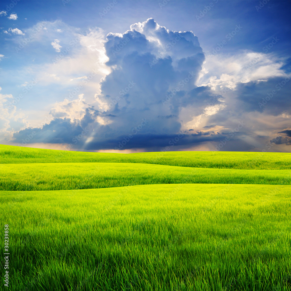 Fototapeta premium Rainstorm over meadow hill