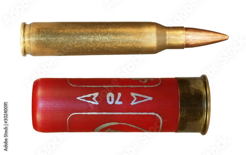 shotgun cartridges and shot carbine