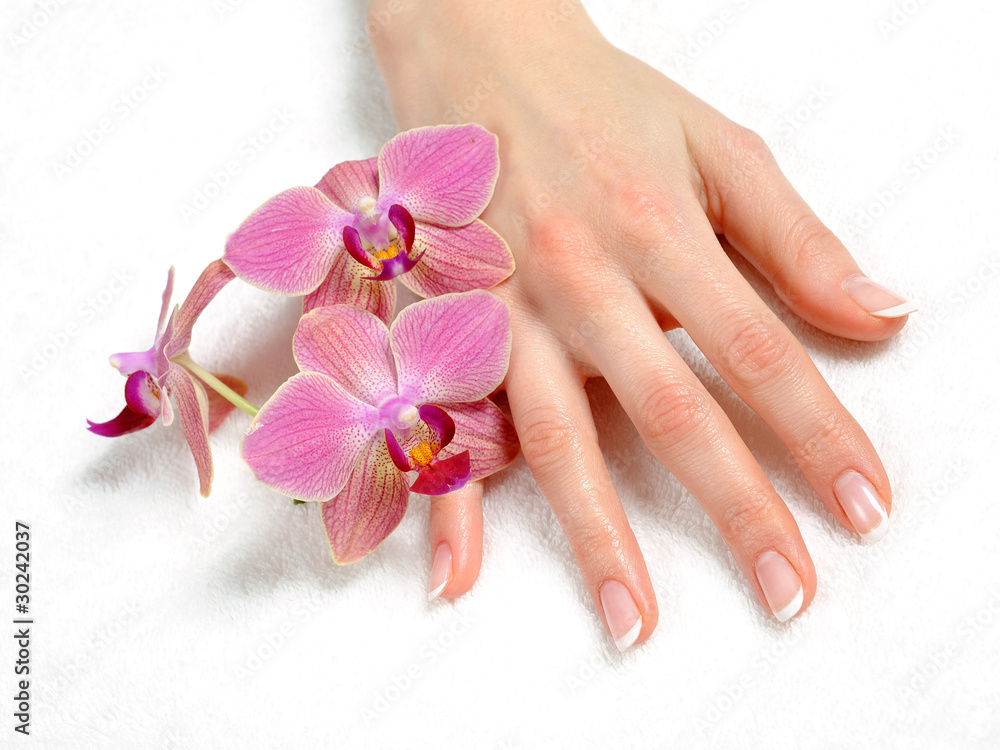Beautiful hand with perfect nail french manicure and purple orch Beautiful hand with perfect nail french manicure and purple orch
