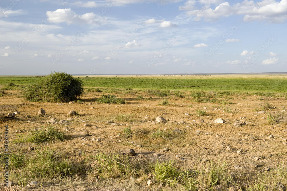 Amboseli National Park Amboseli National Park