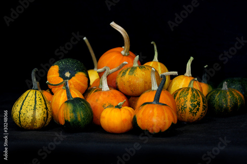 beautiful pumpkins against black background