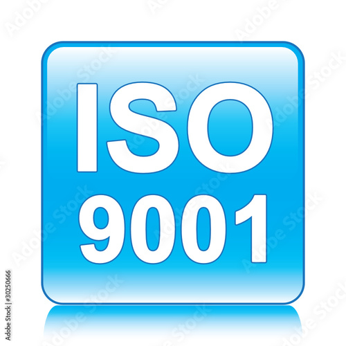 ISO 9001 ICON