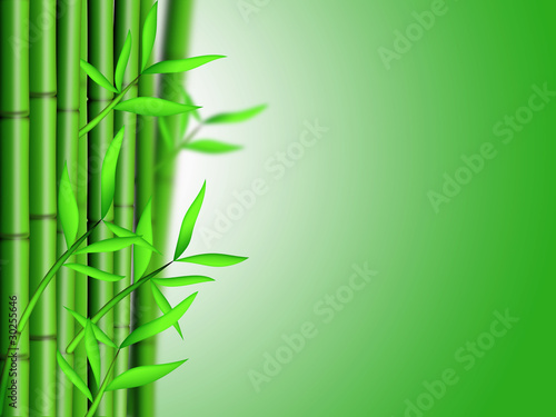 Fototapeta Naklejka Na Ścianę i Meble -  Bamboo Forest Background