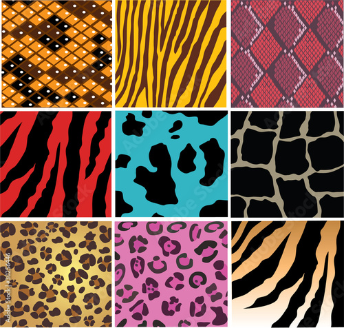vector skin of differenent animals and snake skin