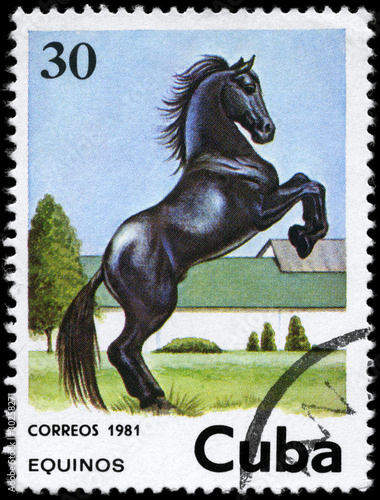 CUBA - CIRCA 1981 Horse 30c photo