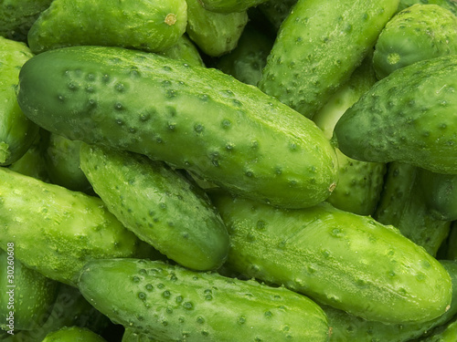 Fotografia Cucumbers