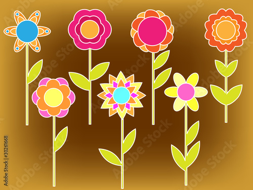 Colorful flower collection