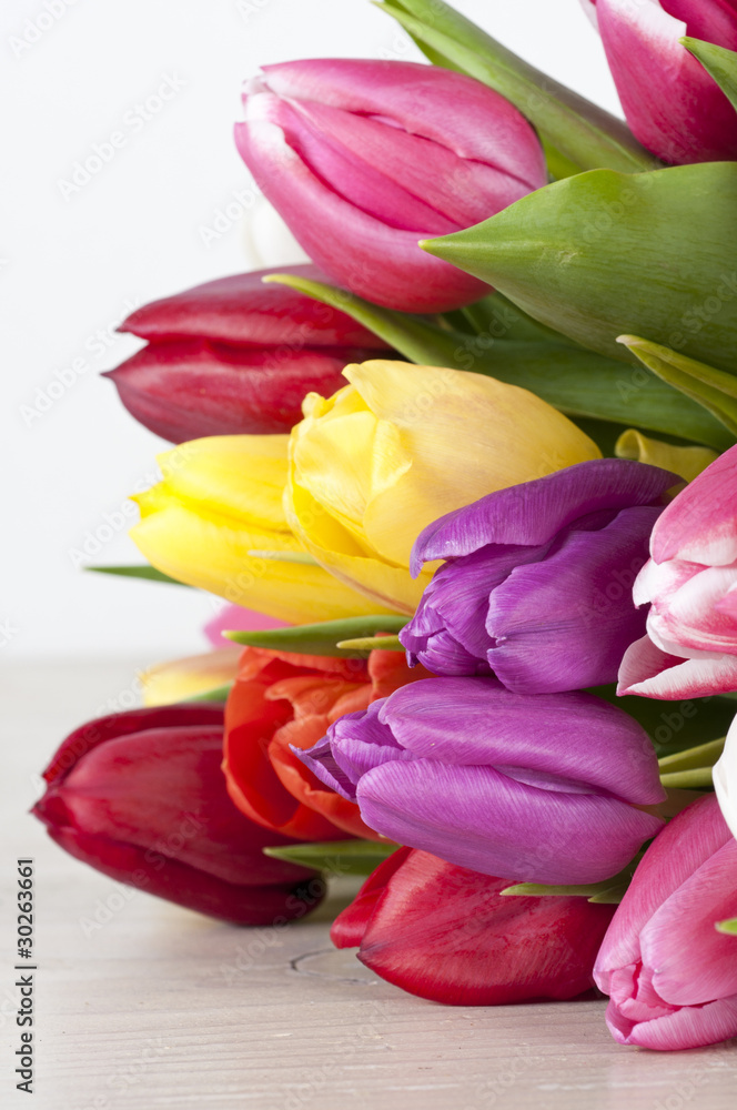 Farben machen spass-Tulpenstrauss Farben machen spass-Tulpenstrauss