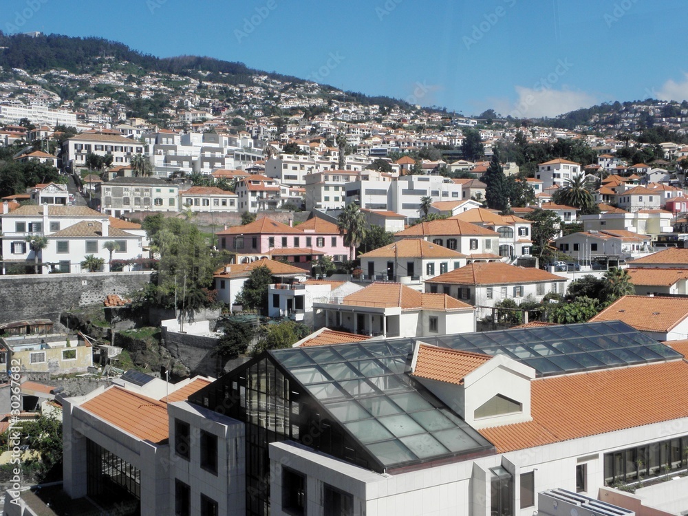 Dächer über Funchal