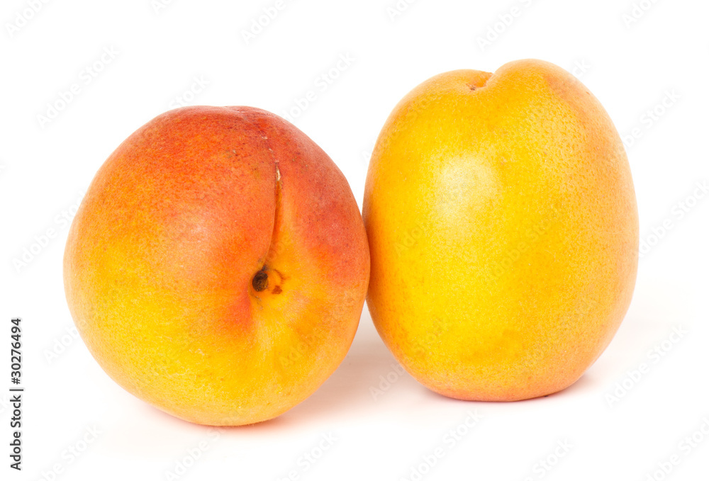 apricot apricot