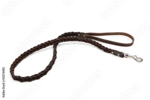 brown leather leash