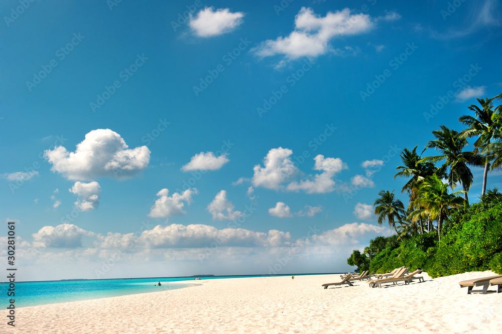Palm beach. Tropical Island