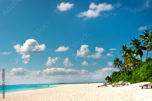 Fototapeta Naklejka Na Ścianę i Meble -  Palm beach. Tropical Island