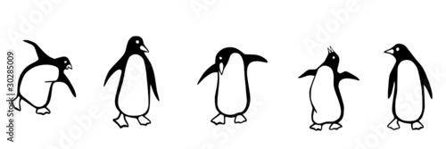 naughty penguins