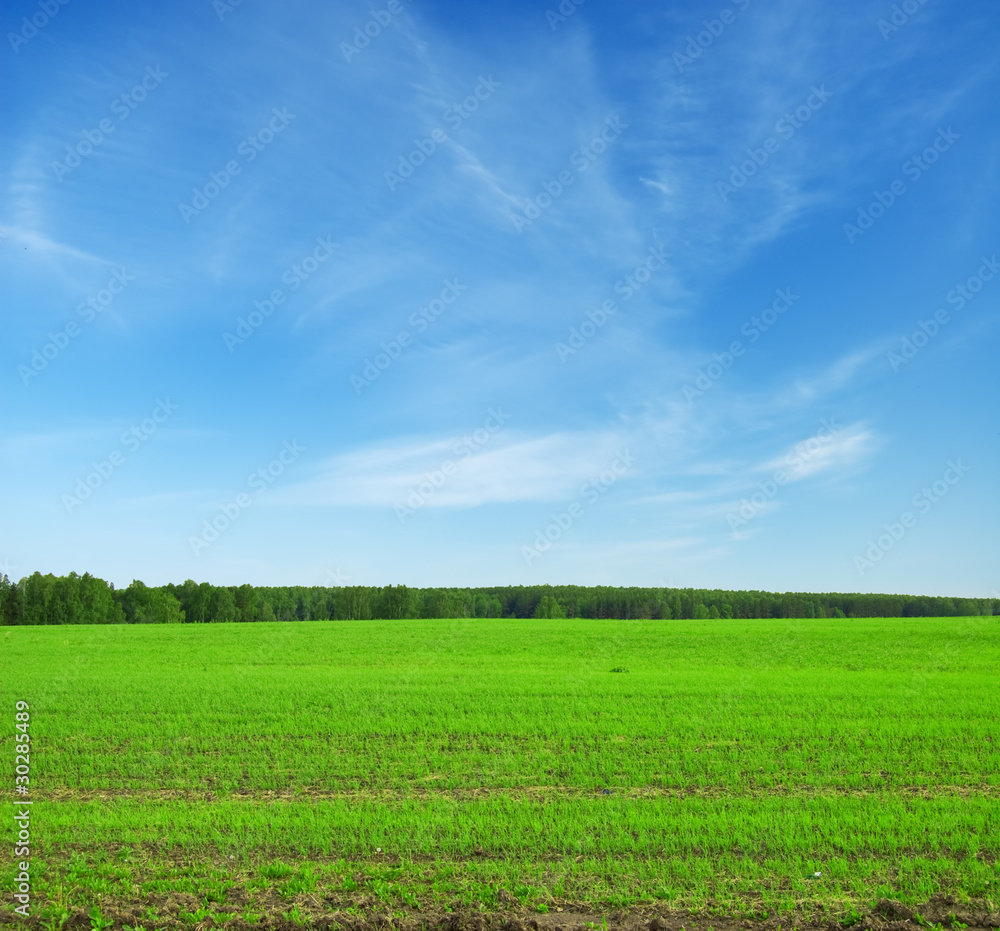 landscape landscape