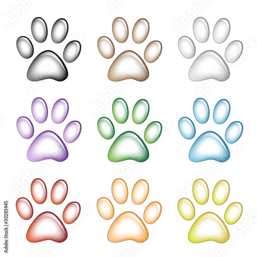 Paw Prints