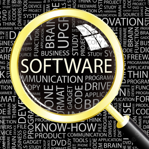 SOFTWARE. Illustration with different association terms.