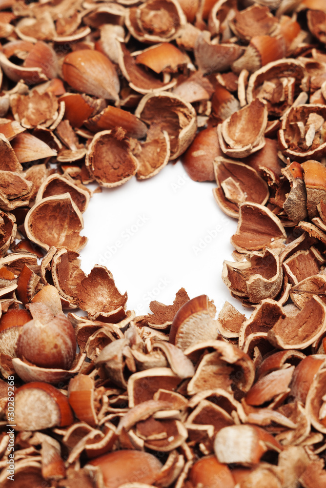 cracked hazelnut shells with blank copy space in the center cracked hazelnut shells with blank copy space in the center