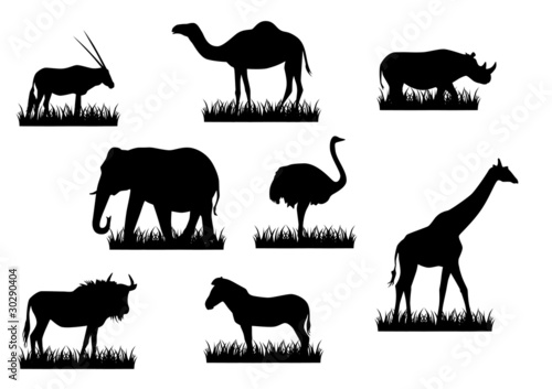 Afrikanische Tiere