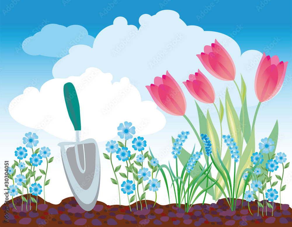 spring flowerbed spring flowerbed