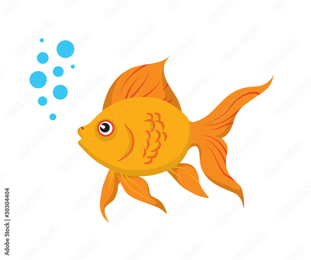 Goldfish Goldfish