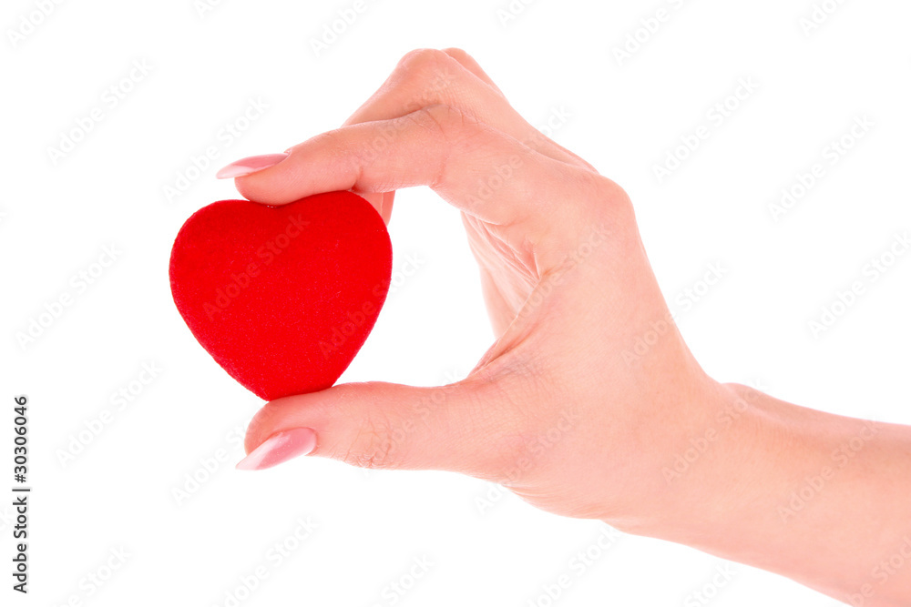 red heart in hand isolated on white red heart in hand isolated on white