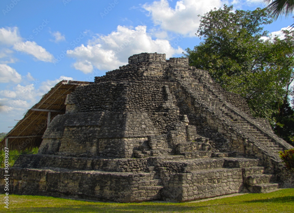 Mayan Ruin