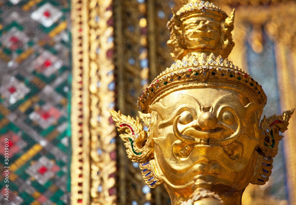 Fototapeta premium Golden garuga