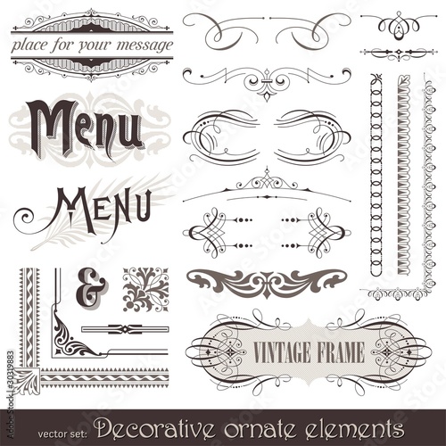 Vector ornate design elements & calligraphic page decor