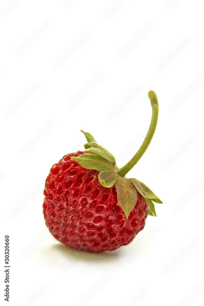 Strawberry; Strawberry;