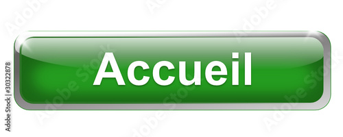 accueil sur bouton métal rectangle vert