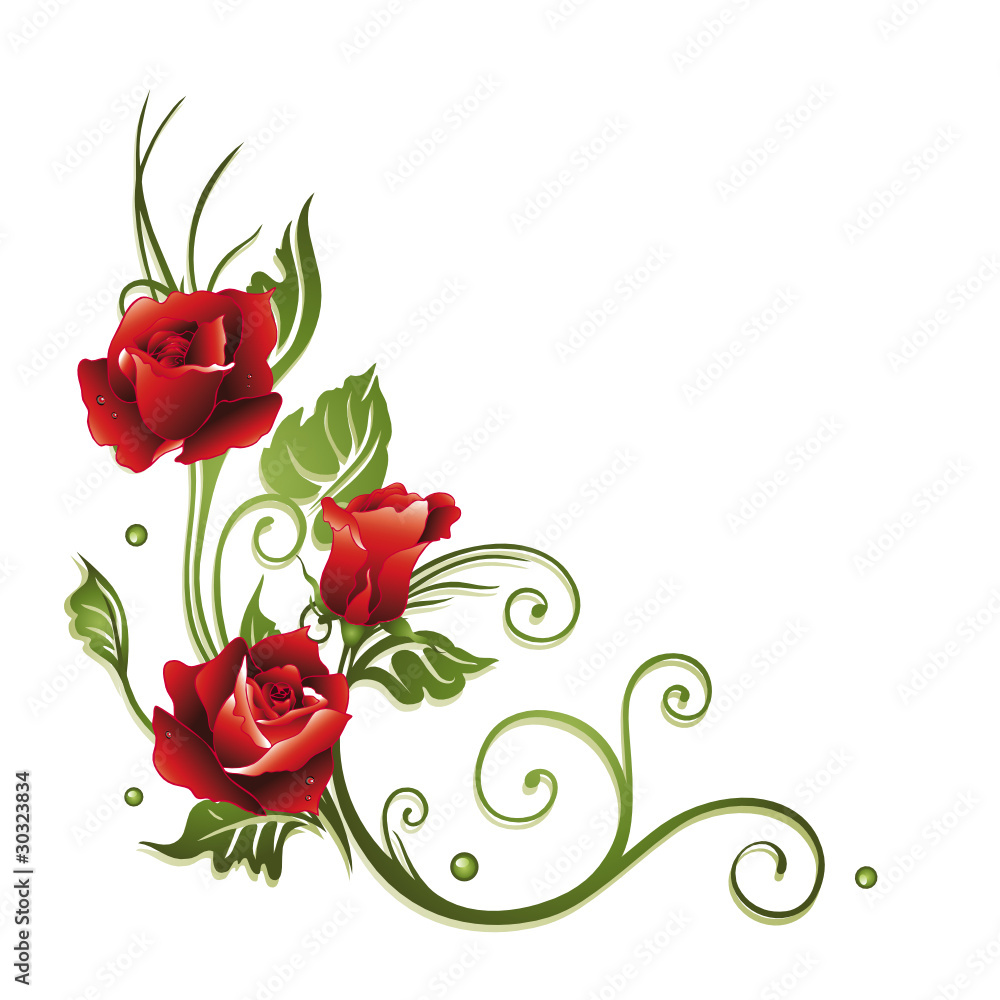 Rose, Rosen, Ranke, rot, Blumen, Blüten, Blätter Stock Vector | Adobe Stock