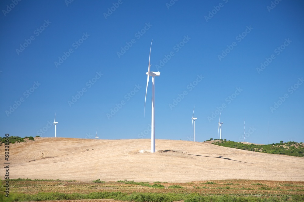 Cadiz wind power mills